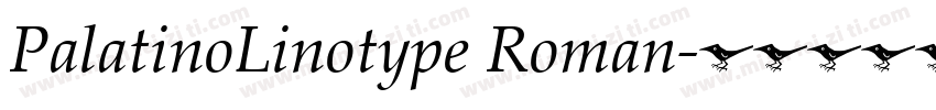 PalatinoLinotype Roman字体转换